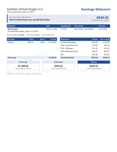 Net pay banner + statement layout in blue, statement only, shown with sample data and a SAMPLE watermark