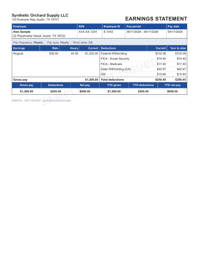 Boxed earnings statement layout in blue, statement only, shown with sample data and a SAMPLE watermark