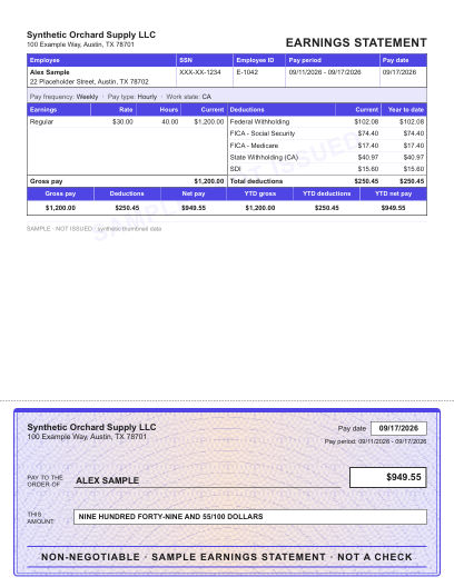 Boxed earnings statement with a check area layout shown with sample data and a SAMPLE watermark