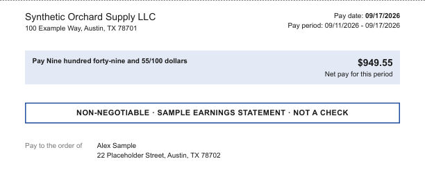Decorative check area in the net pay banner style, marked non-negotiable, with sample data