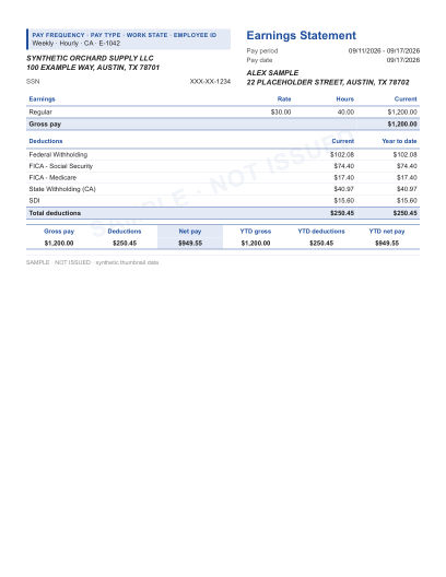 Classic earnings statement layout shown with sample data and a SAMPLE watermark