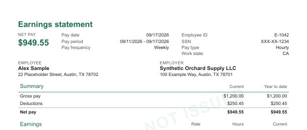Top of the Summary with net pay headline layout in green, with sample data