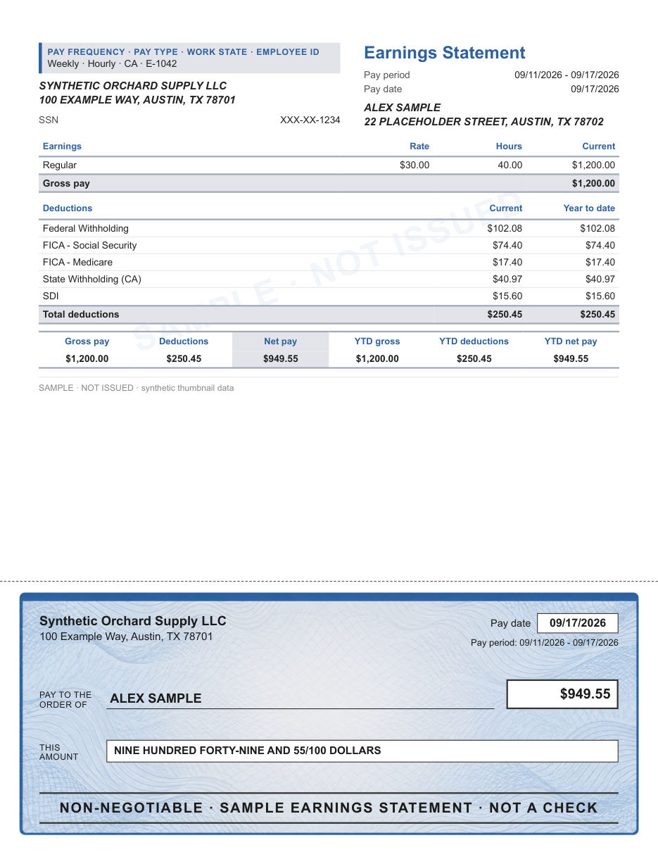 Ruled stub with illustrated check layout in slate contour, with a decorative check area, shown with sample data and a SAMPLE watermark