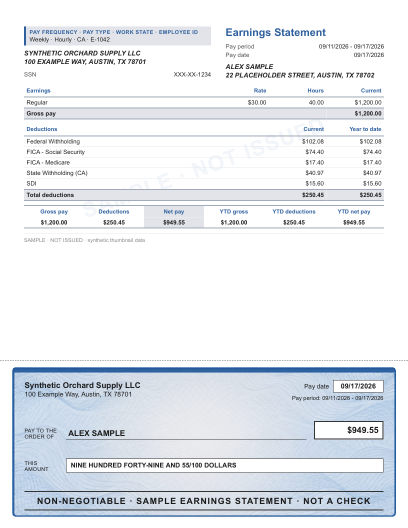 Ruled stub with illustrated check layout in slate contour, with a decorative check area, shown with sample data and a SAMPLE watermark