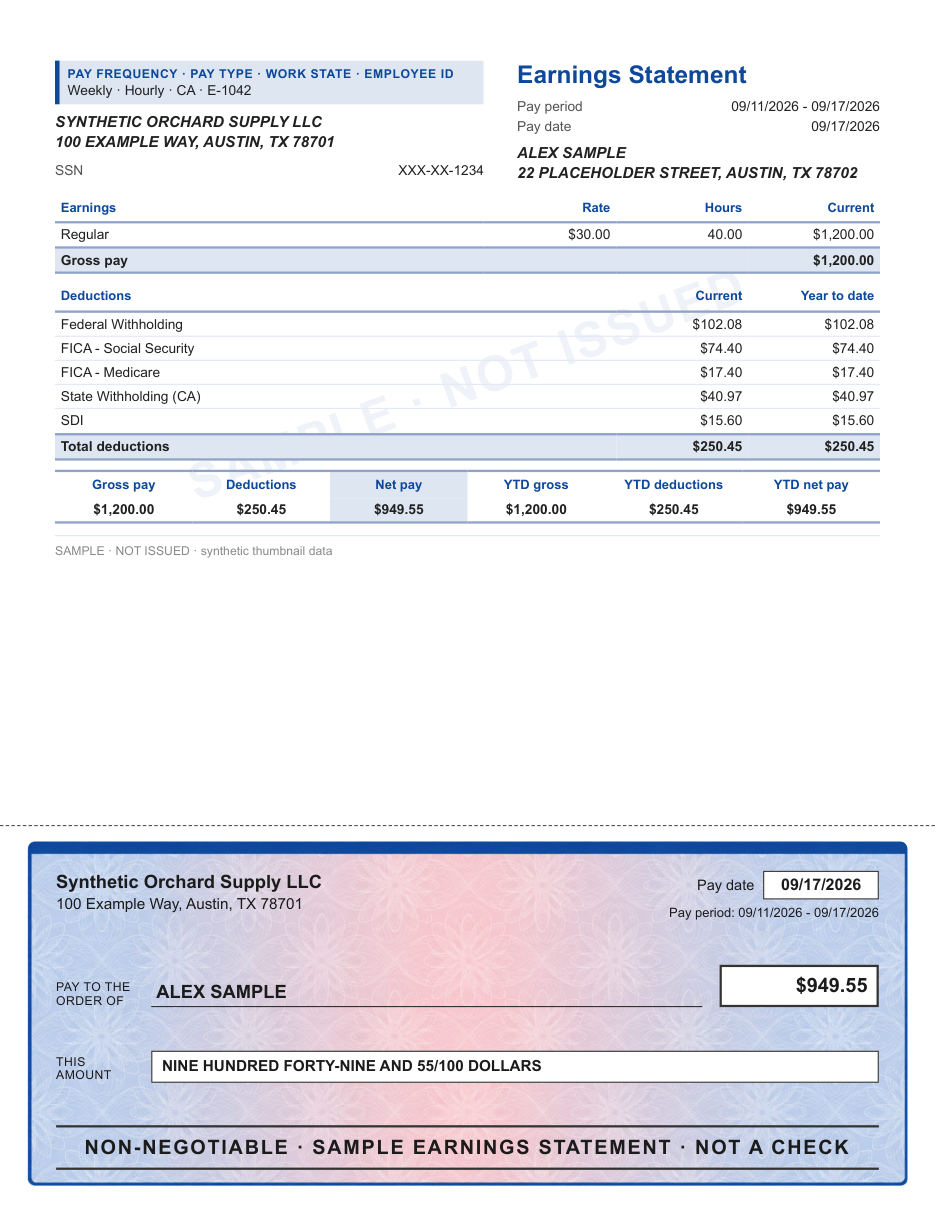 Ruled stub with illustrated check layout in blue rosette, with a decorative check area, shown with sample data and a SAMPLE watermark