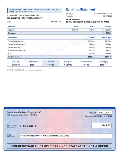 Ruled stub with illustrated check layout in blue rosette, with a decorative check area, shown with sample data and a SAMPLE watermark