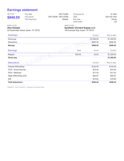 Summary with net pay headline layout shown with sample data and a SAMPLE watermark